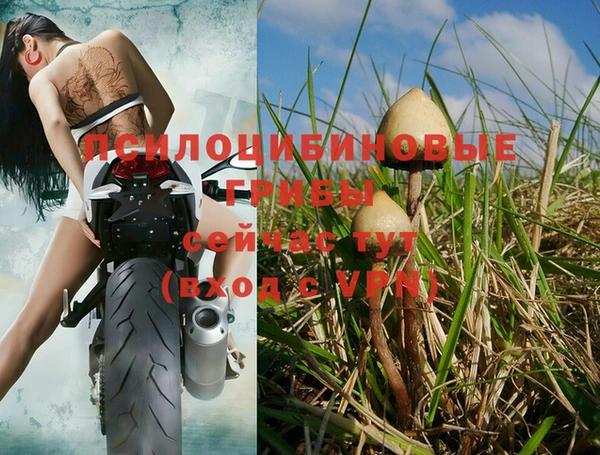 mdpv Абдулино