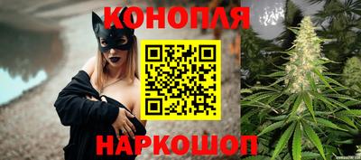 шишки Пугачёв