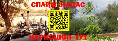шишки Пугачёв