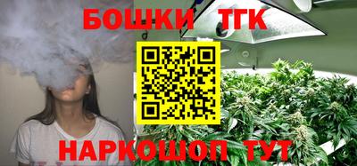 шишки Пугачёв