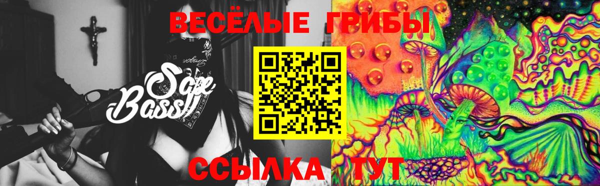 Псилоцибиновые грибы GOLDEN TEACHER Черногорск